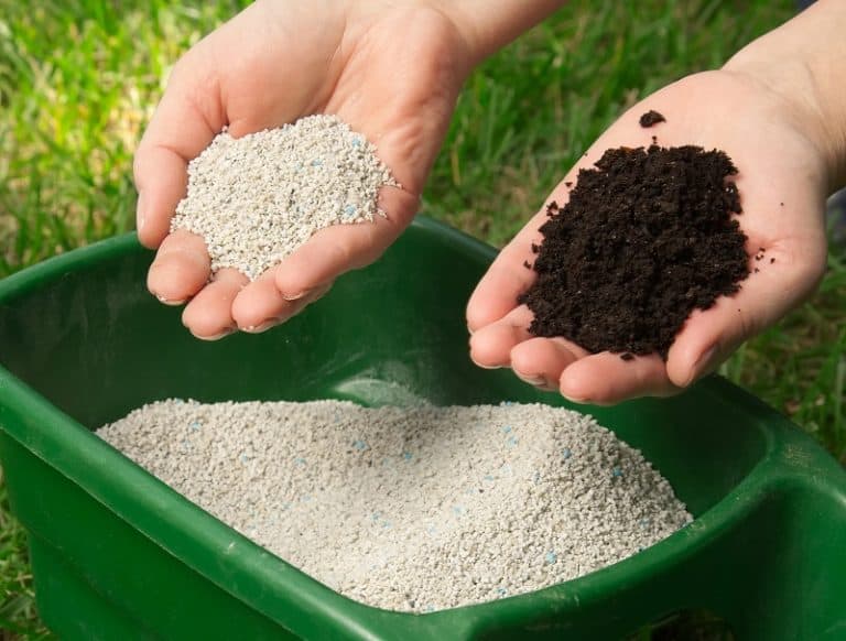 Can You Use Autumn Lawn Feed in Spring? LawnHunt